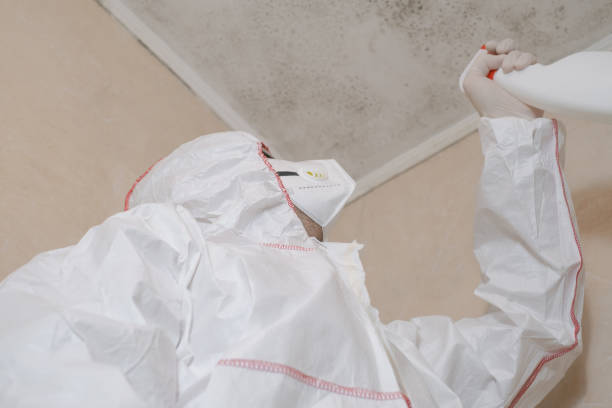 Professional Mold Removal in Glen Ellyn, IL